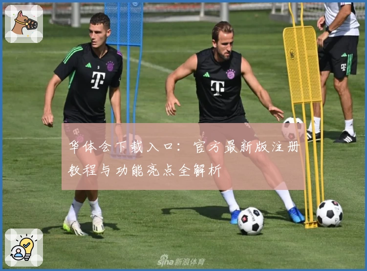 华体会下载入口：官方最新版注册教程与功能亮点全解析