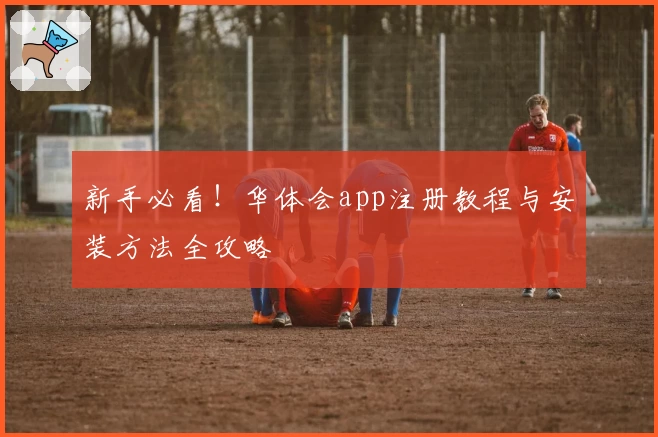 新手必看！华体会app注册教程与安装方法全攻略